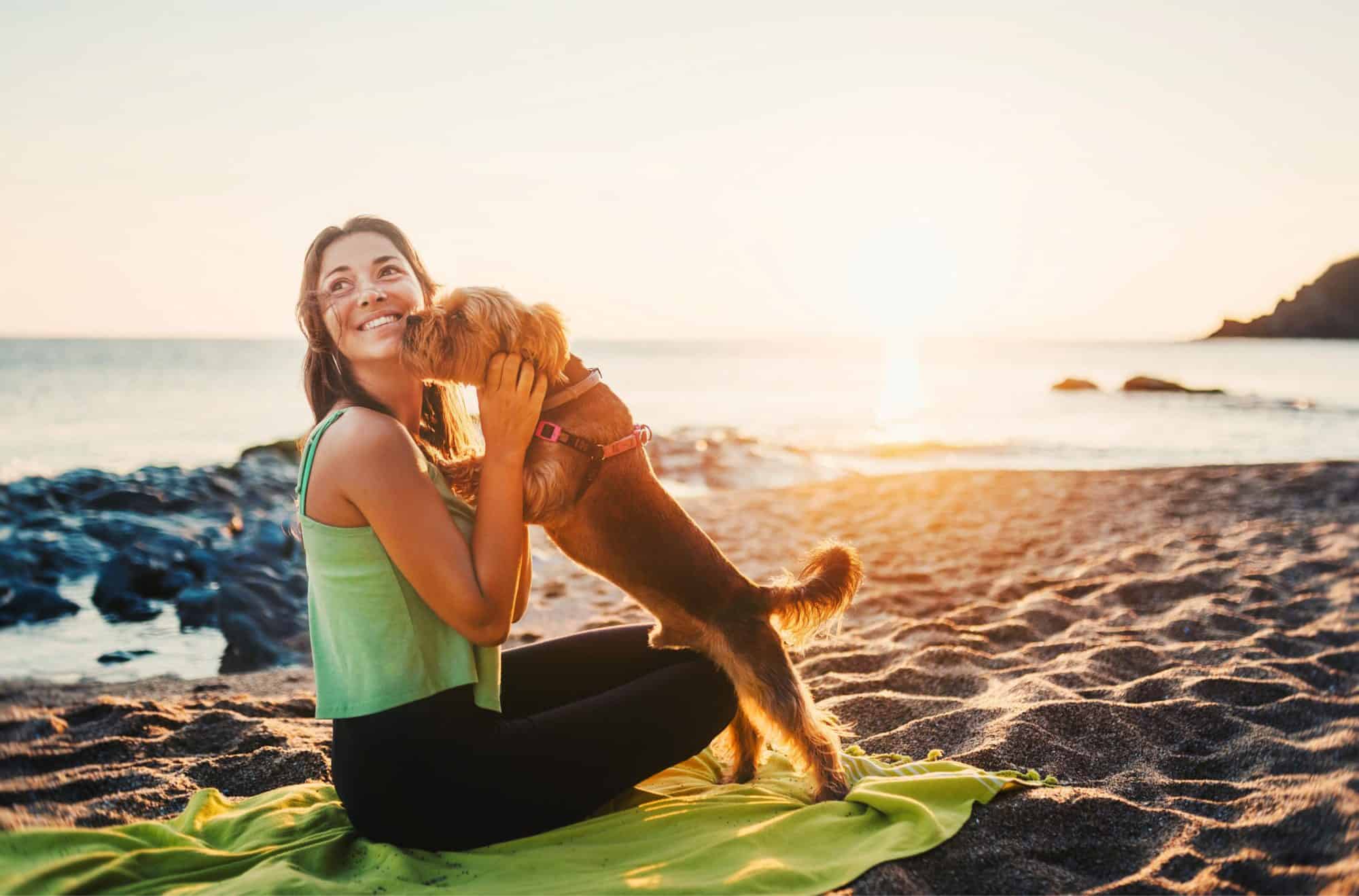 dog at beach with owner.